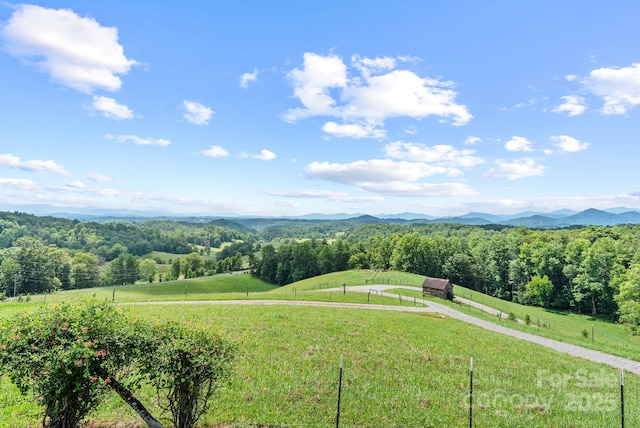1045 Graham Rd, Marshall, NC 28753 - photo 45