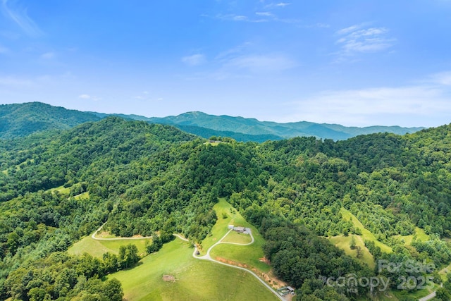 1045 Graham Rd, Marshall, NC 28753 - photo 46