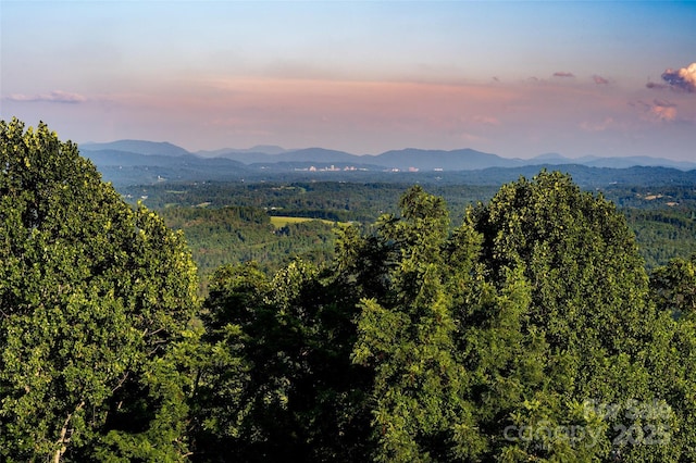 1045 Graham Rd, Marshall, NC 28753 - photo 48