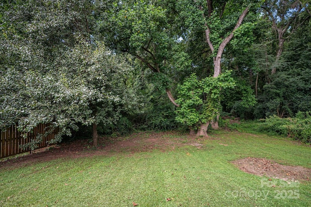 1441 Spring View Ct, Rock Hill, SC 29732 - photo 38