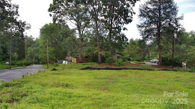 1 Spears Ave, Asheville, NC 28801 - photo 2