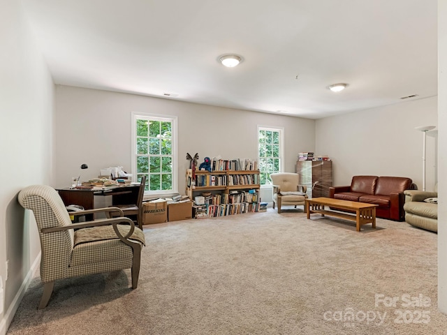 6907 Pleasant Dr, Charlotte, NC 28211 - photo 21
