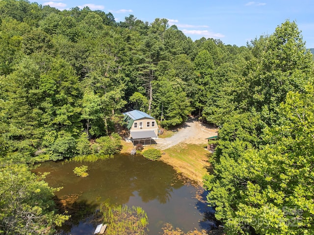 1101 Line Runner Ridge Rd, Rosman, NC 28772 - photo 1