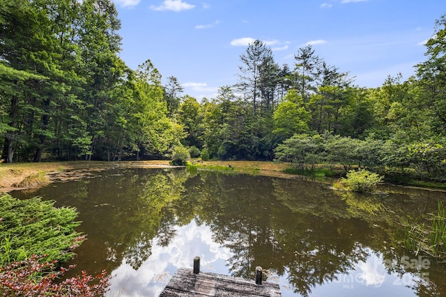 1101 Line Runner Ridge Rd, Rosman, NC 28772 - photo 36