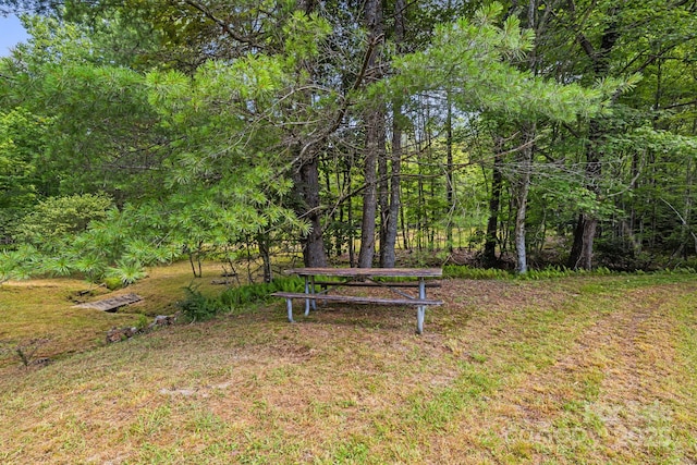 1101 Line Runner Ridge Rd, Rosman, NC 28772 - photo 39