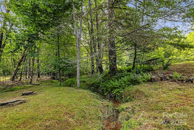 1101 Line Runner Ridge Rd, Rosman, NC 28772 - photo 41