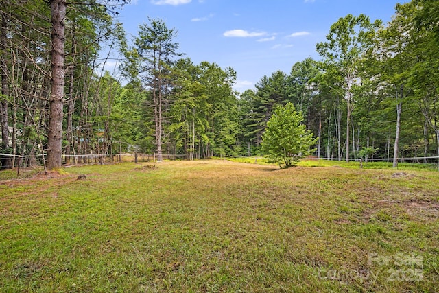1101 Line Runner Ridge Rd, Rosman, NC 28772 - photo 42