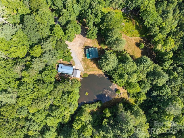 1101 Line Runner Ridge Rd, Rosman, NC 28772 - photo 43