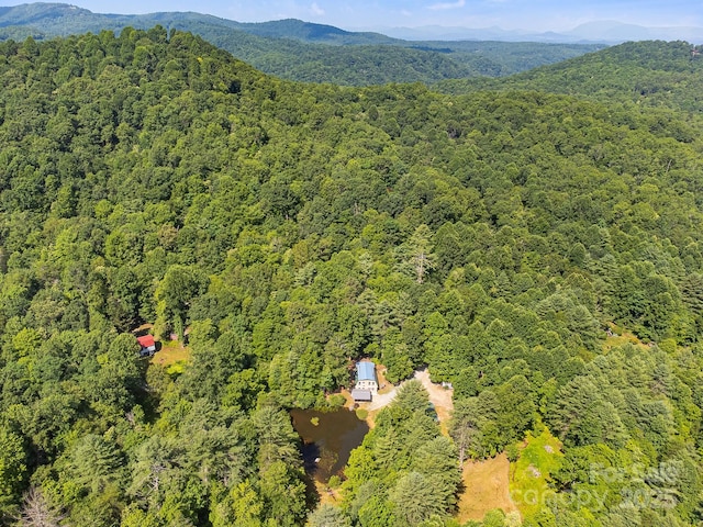 1101 Line Runner Ridge Rd, Rosman, NC 28772 - photo 44