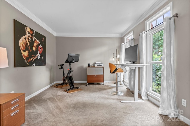 10108 Bayart Way, Huntersville, NC 28078 - photo 5
