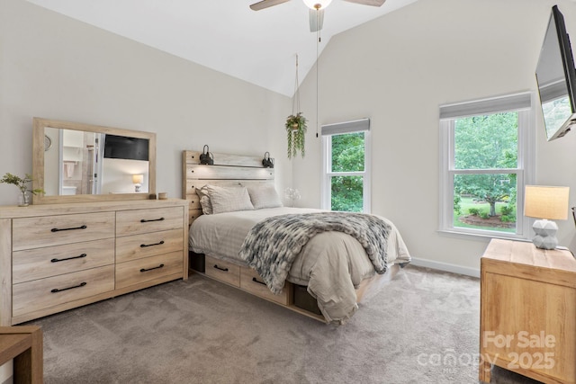 10108 Bayart Way, Huntersville, NC 28078 - photo 28