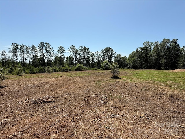 000 County Line Rd, Rutherfordton, NC 28139 - photo 3