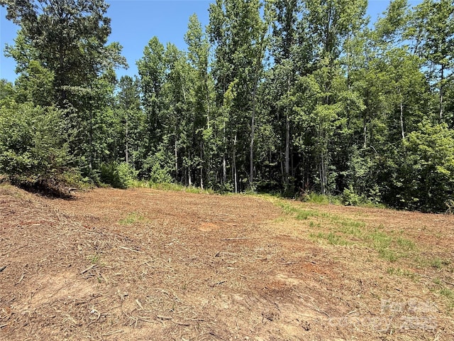 000 County Line Rd, Rutherfordton, NC 28139 - photo 4