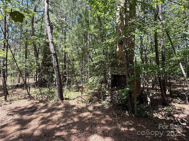 000 County Line Rd, Rutherfordton, NC 28139 - photo 6