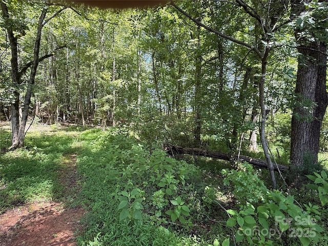 000 County Line Rd, Rutherfordton, NC 28139 - photo 7