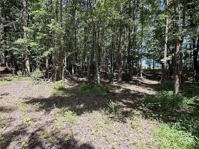 000 County Line Rd, Rutherfordton, NC 28139 - photo 8