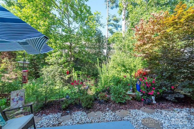 118 Torrington Ave, Fletcher, NC 28732 - photo 32