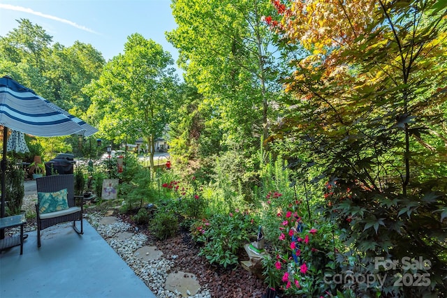 118 Torrington Ave, Fletcher, NC 28732 - photo 33