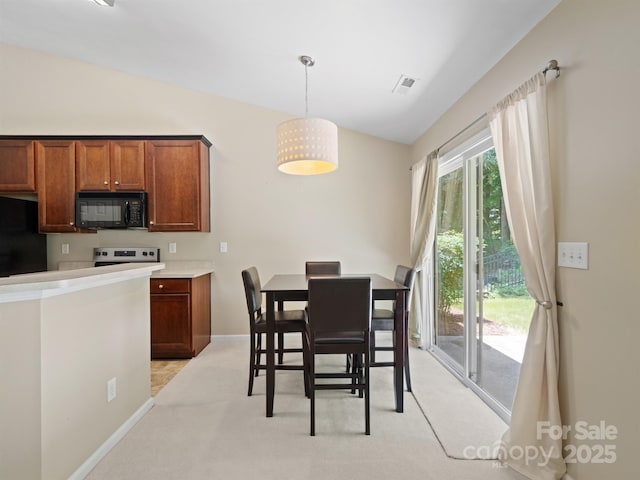 9101 Pembroke Ct, Indian Land, SC 29707 - photo 15