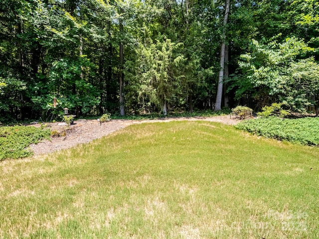 9101 Pembroke Ct, Indian Land, SC 29707 - photo 33