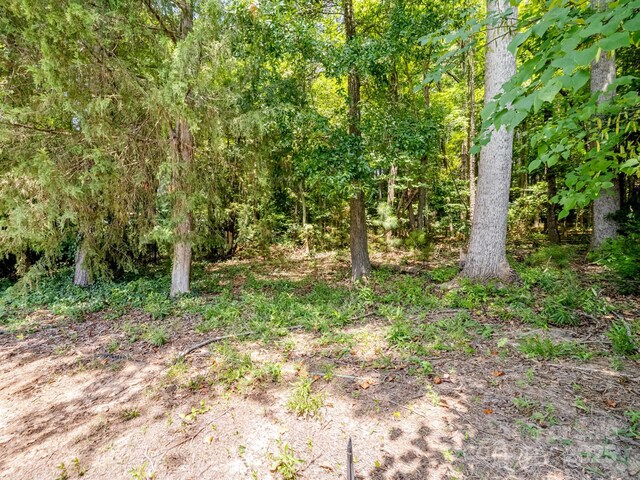 9101 Pembroke Ct, Indian Land, SC 29707 - photo 36