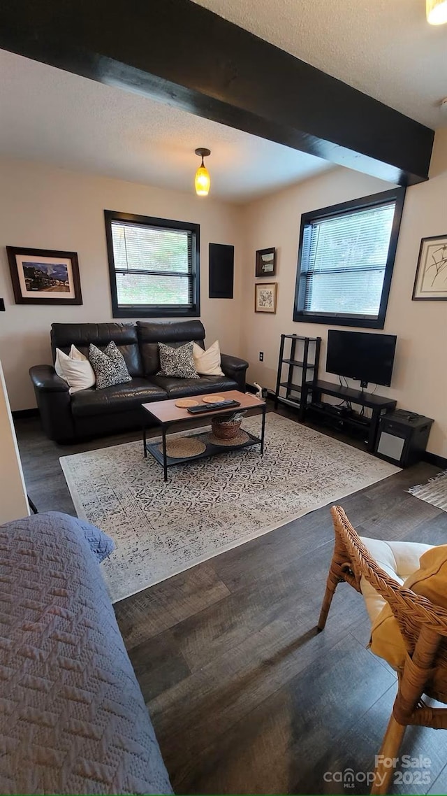60 Walden Pond Rd, Bryson City, NC 28713 - living area featuring beam ceiling and wood finished floors