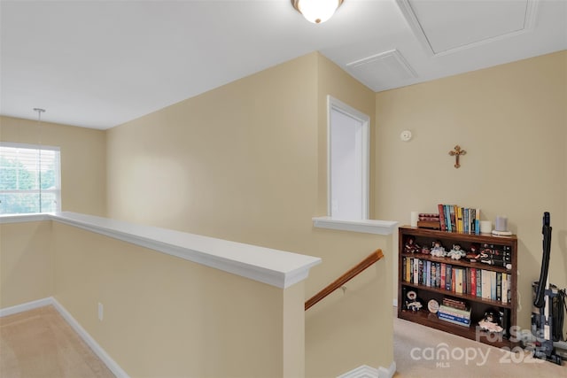 4557 Scarlet Oak Dr, Rock Hill, SC 29732 - photo 30