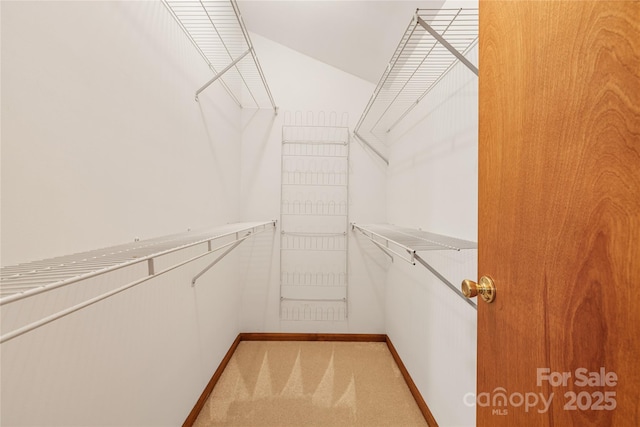 3324 Sadler Rd, Charlotte, NC 28278 - photo 29