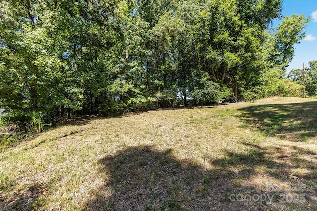 3324 Sadler Rd, Charlotte, NC 28278 - photo 37