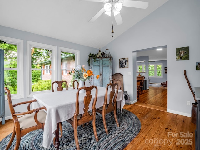 61 Overbrook Dr, Saluda, NC 28773 - photo 19
