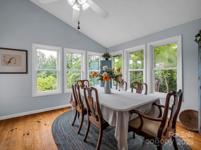 61 Overbrook Dr, Saluda, NC 28773 - photo 20