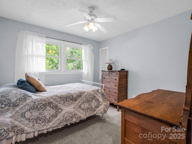 61 Overbrook Dr, Saluda, NC 28773 - photo 27