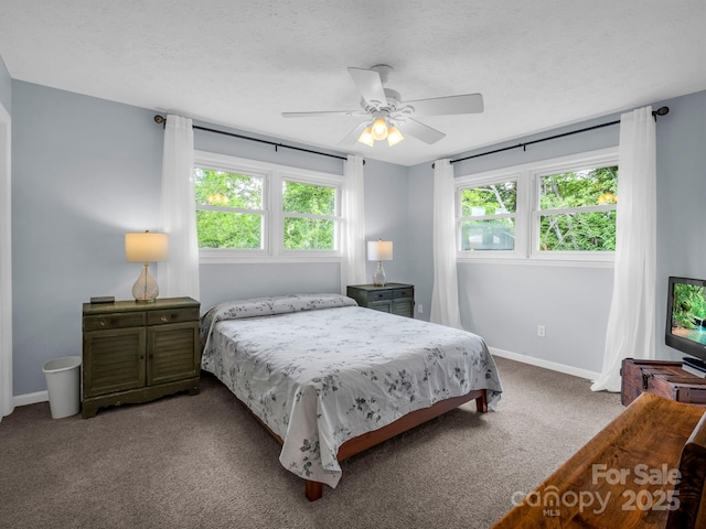 61 Overbrook Dr, Saluda, NC 28773 - photo 28