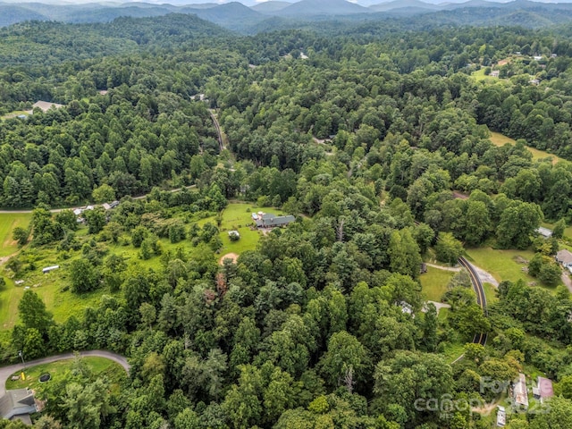 61 Overbrook Dr, Saluda, NC 28773 - photo 2