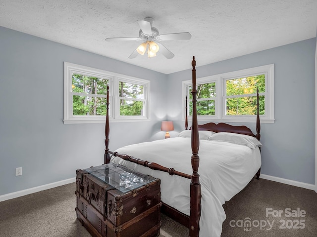 61 Overbrook Dr, Saluda, NC 28773 - photo 26