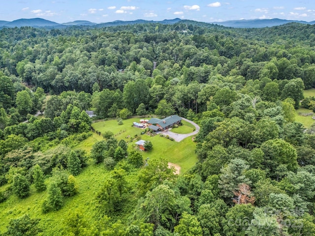 61 Overbrook Dr, Saluda, NC 28773 - photo 40