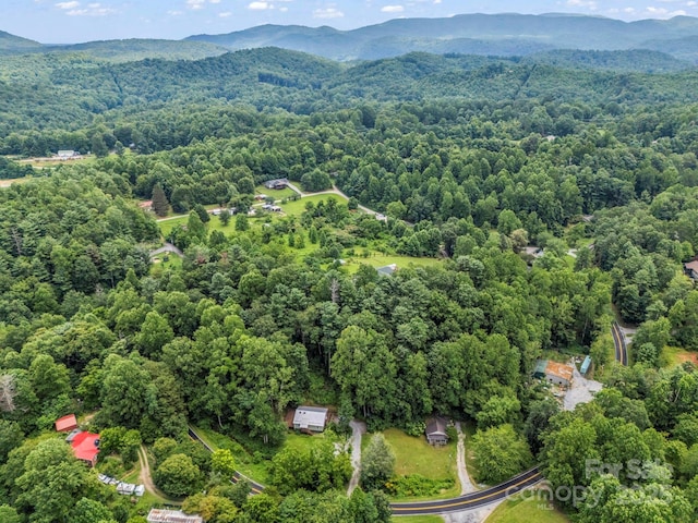 61 Overbrook Dr, Saluda, NC 28773 - photo 41