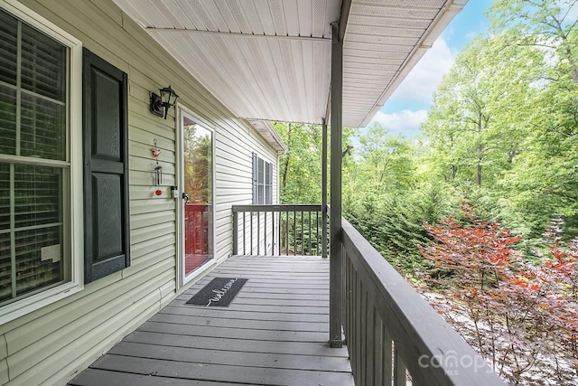46 Badger Run, Hendersonville, NC 28739 - photo 5