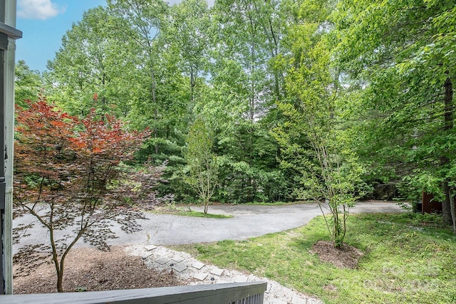 46 Badger Run, Hendersonville, NC 28739 - photo 6