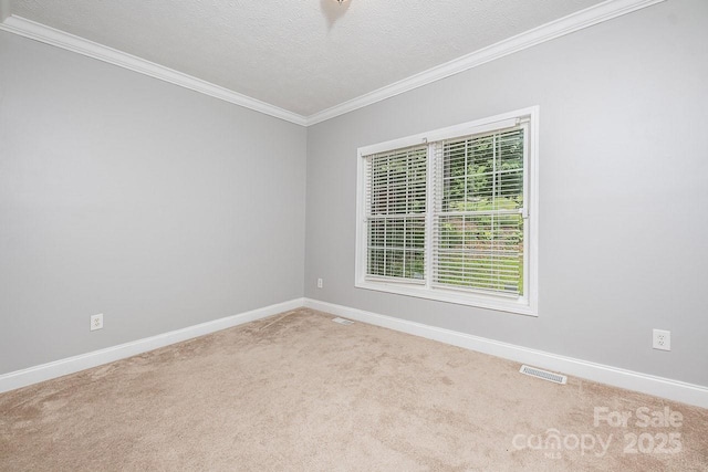 46 Badger Run, Hendersonville, NC 28739 - photo 21