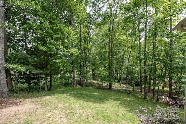 46 Badger Run, Hendersonville, NC 28739 - photo 36