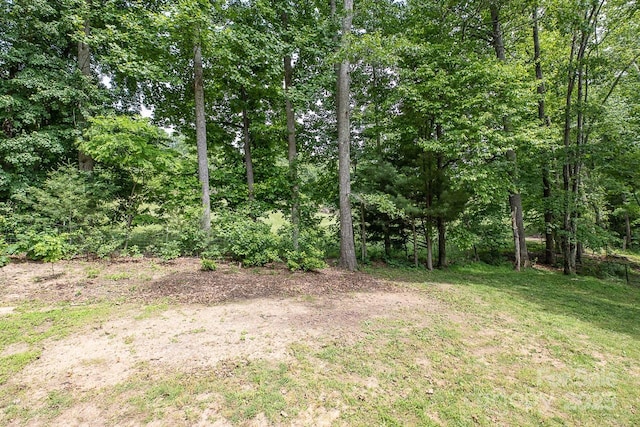 46 Badger Run, Hendersonville, NC 28739 - photo 38