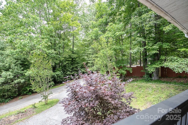 46 Badger Run, Hendersonville, NC 28739 - photo 41