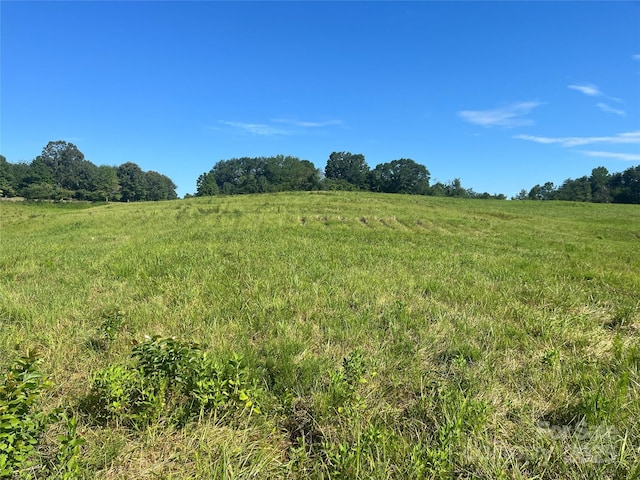 536 Pea Ridge Rd, Mill Spring, NC 28756 - photo 2