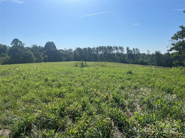 536 Pea Ridge Rd, Mill Spring, NC 28756 - photo 4