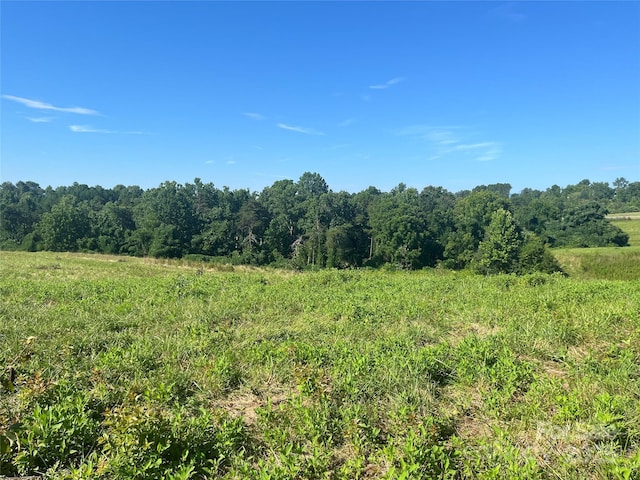536 Pea Ridge Rd, Mill Spring, NC 28756 - photo 6