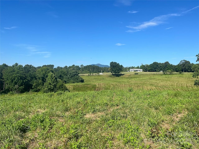 536 Pea Ridge Rd, Mill Spring, NC 28756 - photo 7