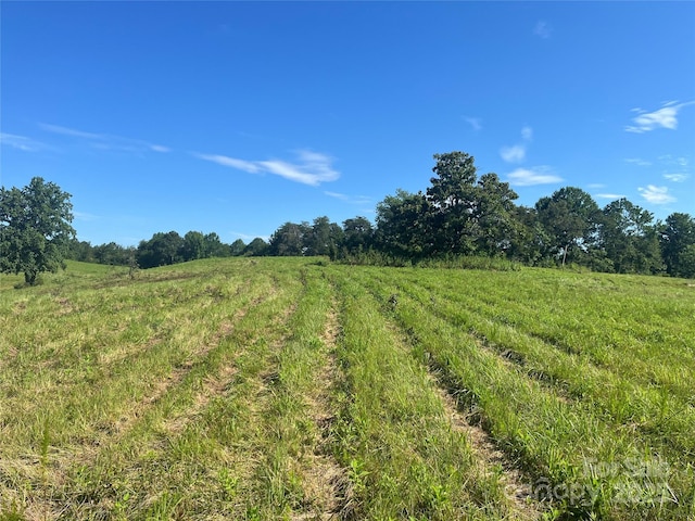 536 Pea Ridge Rd, Mill Spring, NC 28756 - photo 8