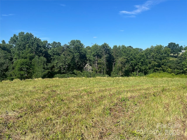 536 Pea Ridge Rd, Mill Spring, NC 28756 - photo 9