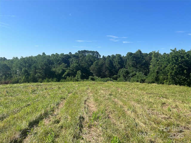 536 Pea Ridge Rd, Mill Spring, NC 28756 - photo 10